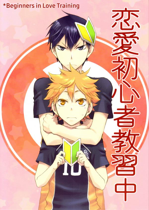 Haikyuu!! dj - Beginners in Love Training